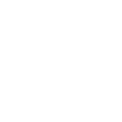 CSPC WEISHENG PHARMACEUTICAL